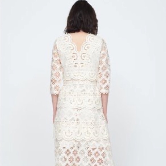 SEA lace Laurel dress, New Wo tag, NWOT - Picture 4 of 8